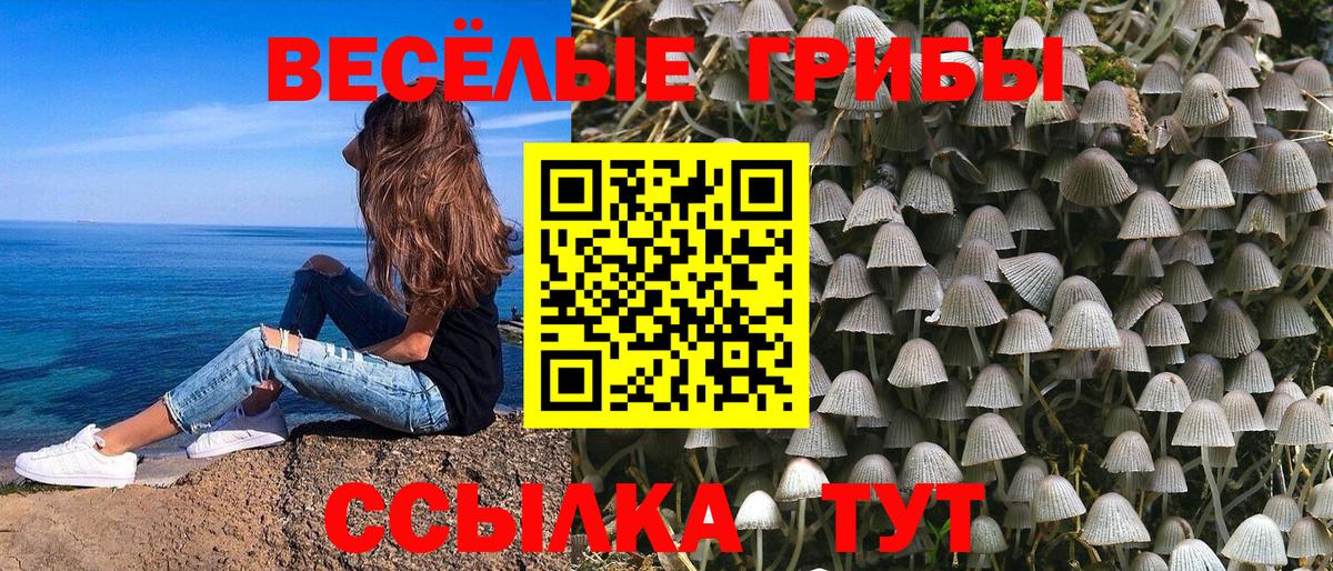 Галлюциногенные грибы ЛСД  Вход с VPN  Котлас 